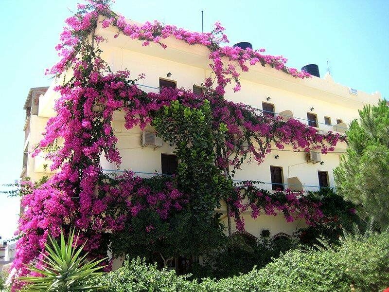 Knossos Hotel Kalamaki  Exteriér fotografie
